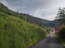 Vaucluse